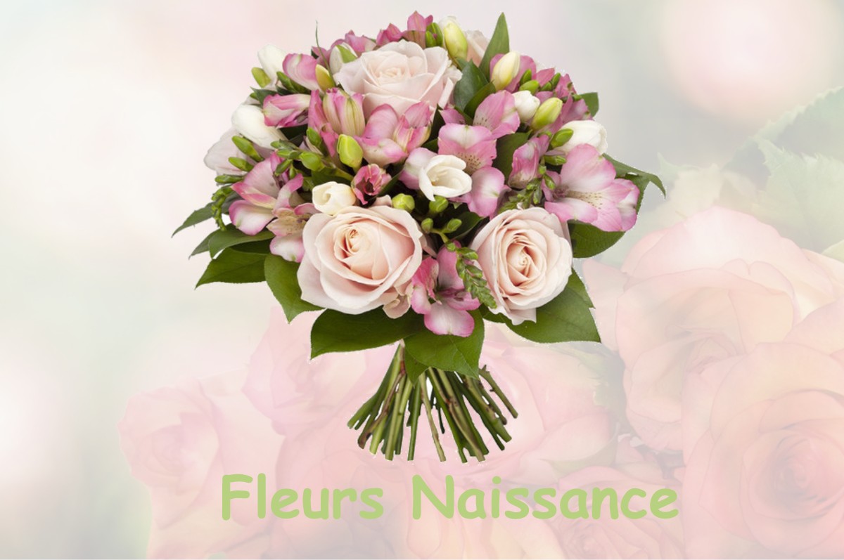 fleurs naissance PALAMINY