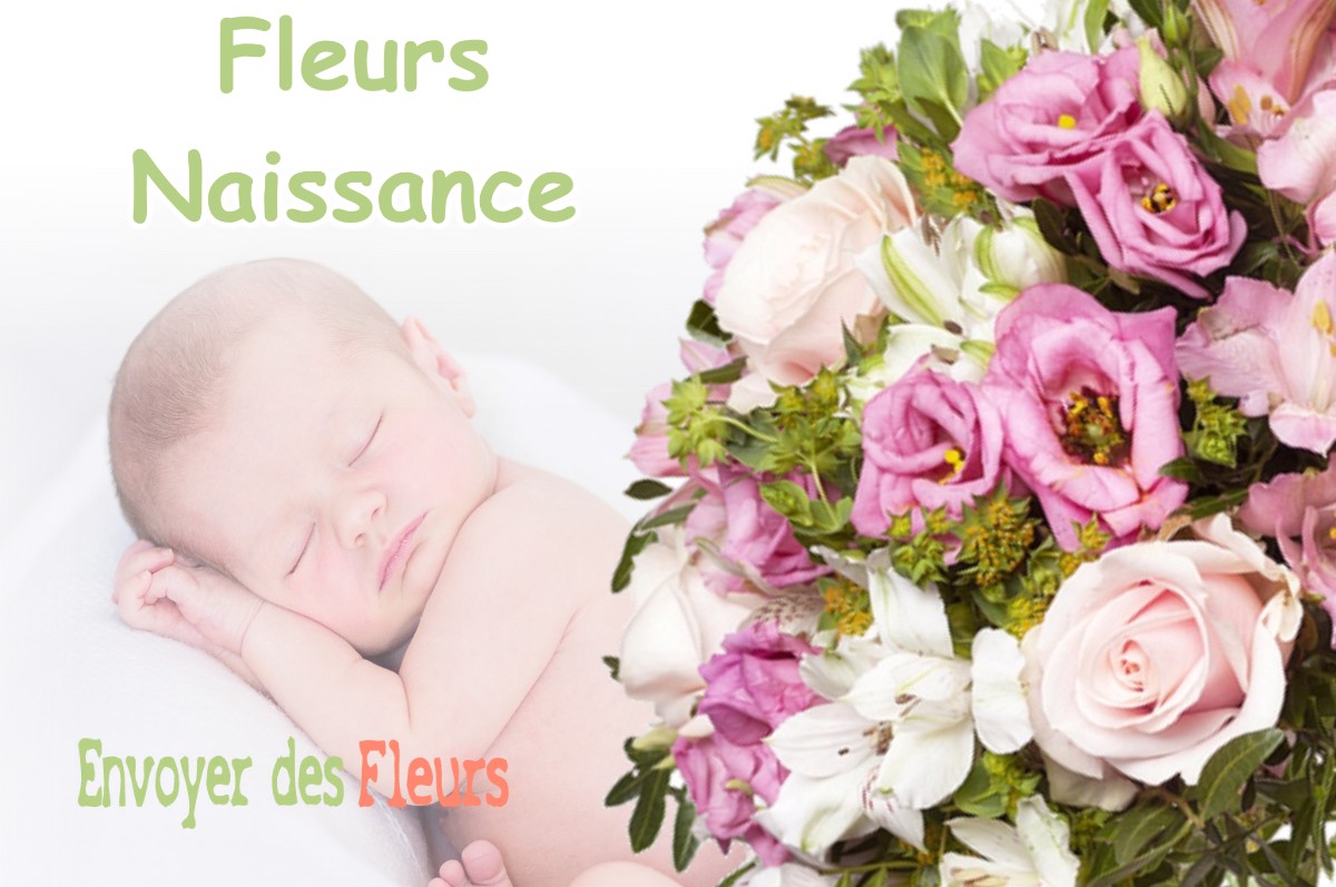 lIVRAISON FLEURS NAISSANCE à PALAMINY